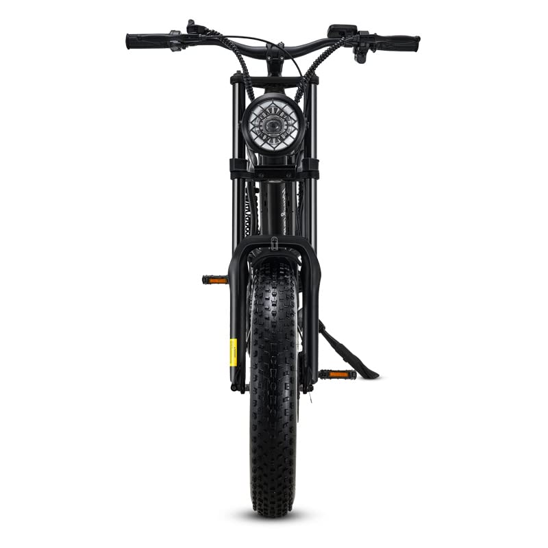 Riding'times 1500W Winter Moped Style Ebike, 20 Inch Fat Tire Electric Bike, Up to 28MPH & 75 Miles, 6-Layer Full Suspension, 15.6AH Removable Battery, Mountain Snow E Bike