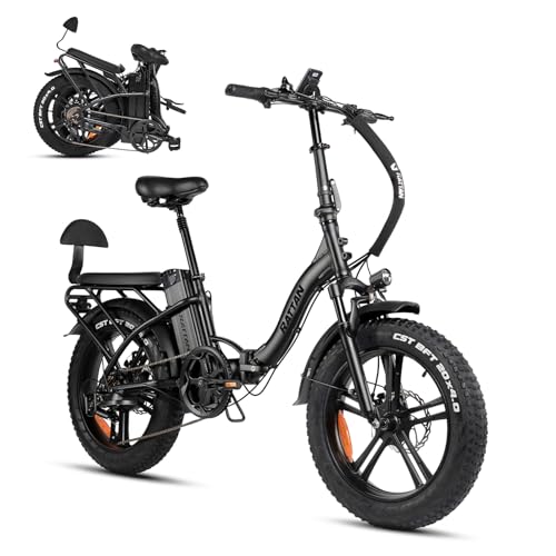 Rattan 750W Electric Bike for Adults 48V 13AH Removable Battery Foldable Electric Bikes LM/LF Pro Ebike 20" x 4.0 Fat Tire Electric Bicycles 2 Seater