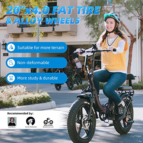 Rattan 750W Electric Bike for Adults 48V 13AH Removable Battery Foldable Electric Bikes LM/LF Pro Ebike 20" x 4.0 Fat Tire Electric Bicycles 2 Seater