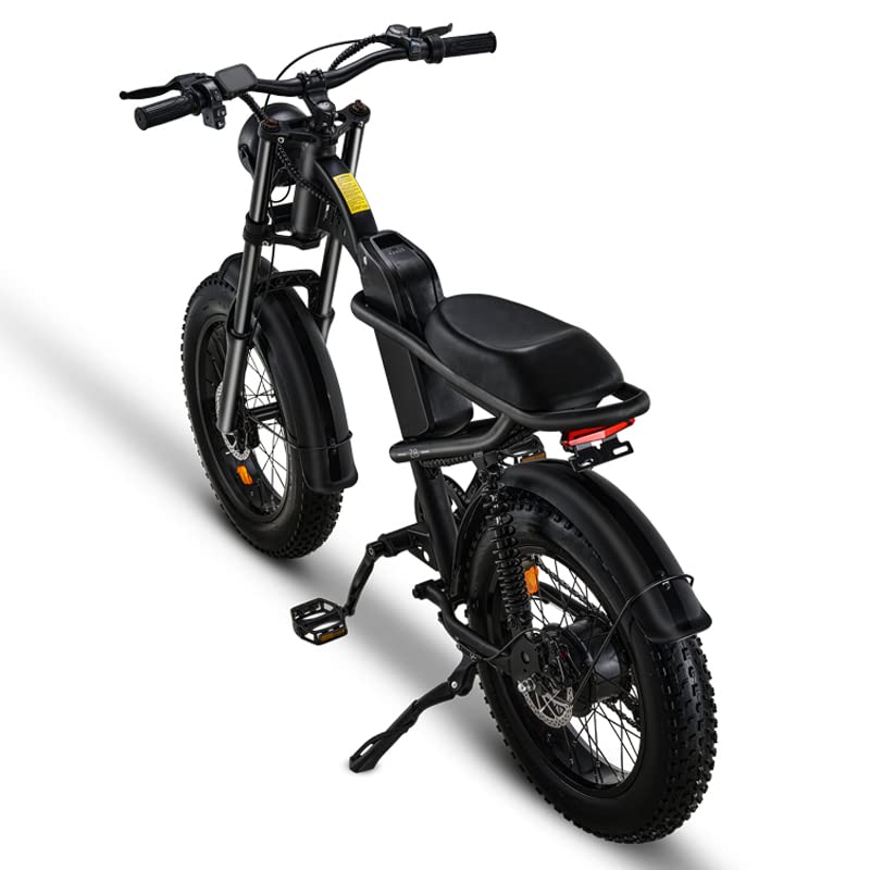 Riding'times 1500W Winter Moped Style Ebike, 20 Inch Fat Tire Electric Bike, Up to 28MPH & 75 Miles, 6-Layer Full Suspension, 15.6AH Removable Battery, Mountain Snow E Bike