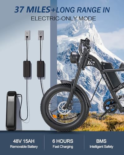 Riding'times 1500W Winter Moped Style Ebike, 20 Inch Fat Tire Electric Bike, Up to 28MPH & 75 Miles, 6-Layer Full Suspension, 15.6AH Removable Battery, Mountain Snow E Bike