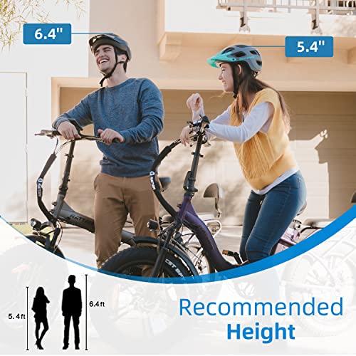 Rattan 750W Electric Bike for Adults 48V 13AH Removable Battery Foldable Electric Bikes LM/LF Pro Ebike 20" x 4.0 Fat Tire Electric Bicycles 2 Seater