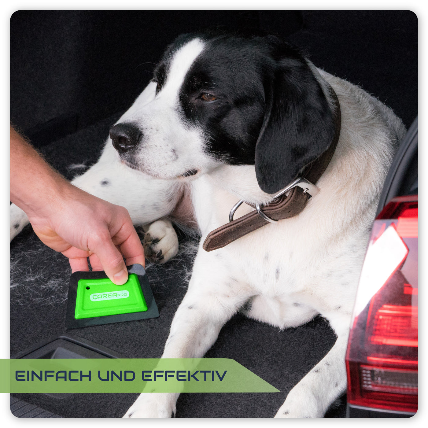 CAREApro Smart Brush - Tierhaarentferner fürs Auto und zuhause. Entfernt Hunde und Katzenhaare von Polstermöbeln.